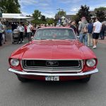 IMG_9525